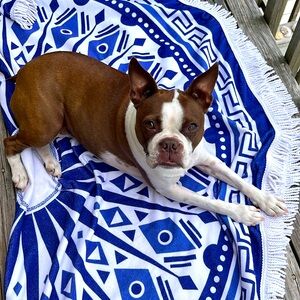 Meet your Posher, Suzette